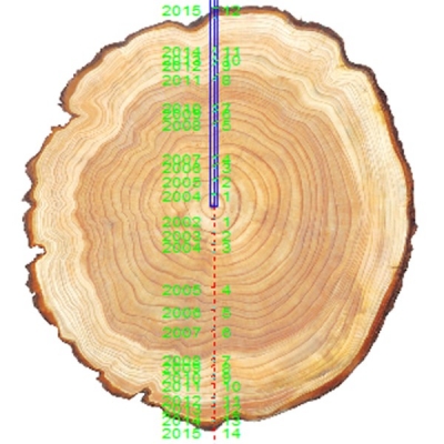 DJ-3400樹(shù)木年輪分析儀